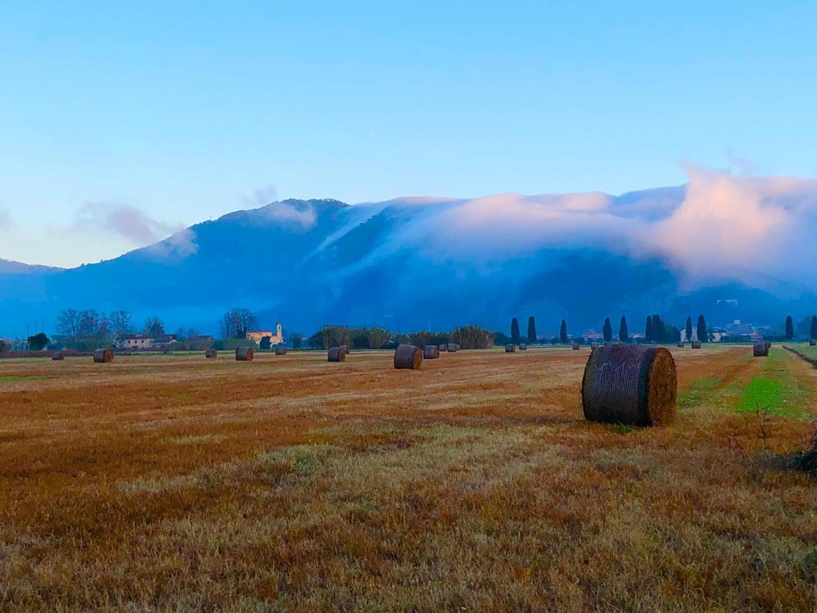 Intero Alloggio Campagna Lucca Capannori Zewnętrze zdjęcie